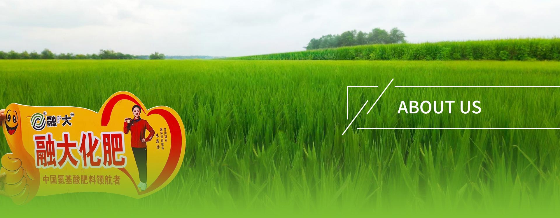 Beartas Príobháideachta