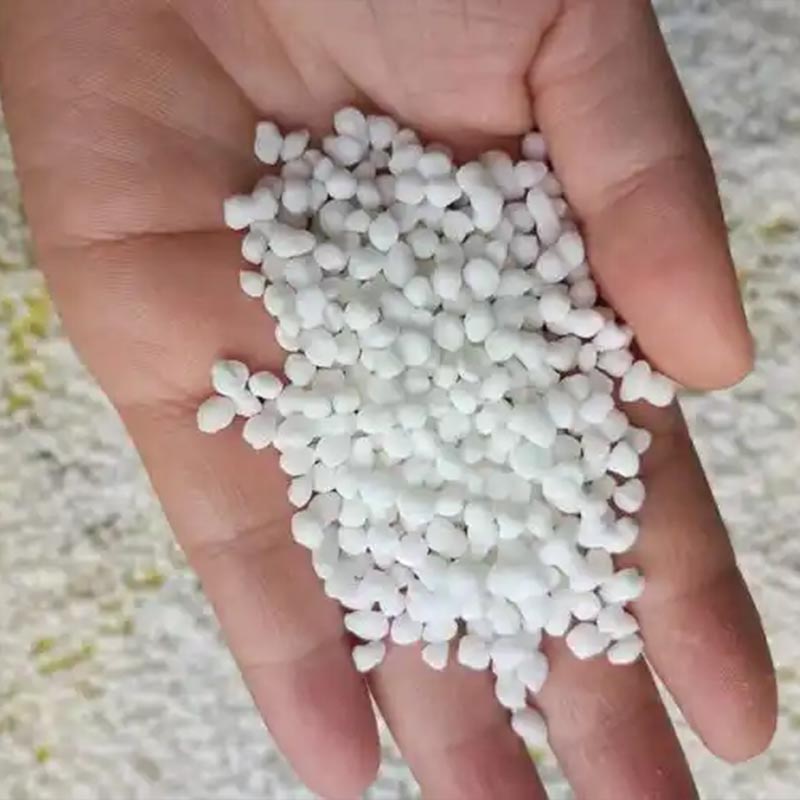 Le haghaidh Bunfheistis Agus Barr Feistis